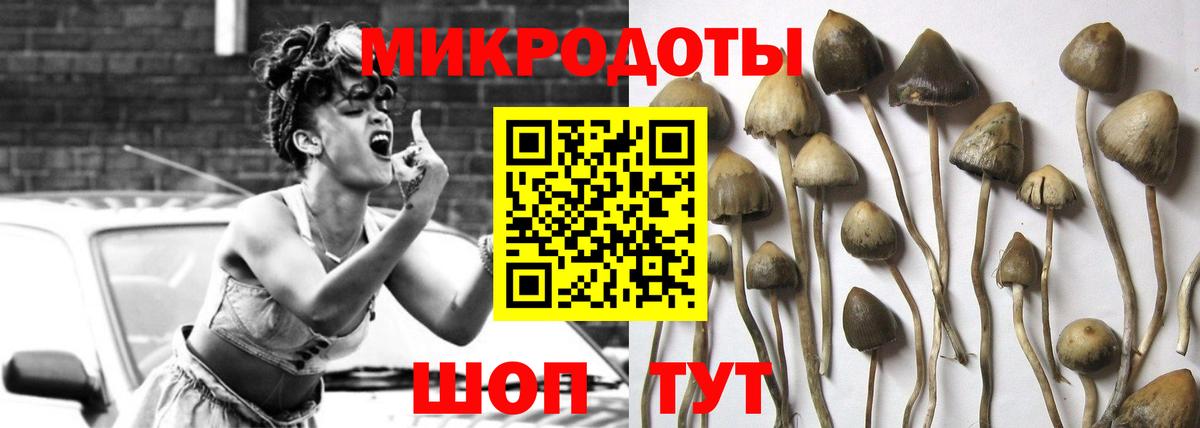 Каменка  Псилоцибиновые грибы мицелий  Вход с VPN 